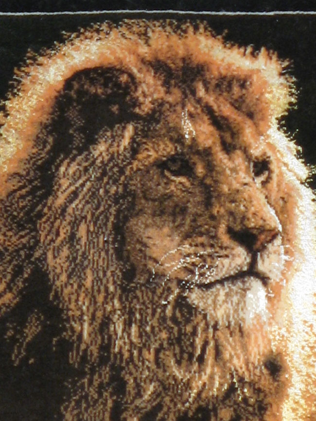 Modern Tabriz Pictorial Rug, No.11867 - Staging