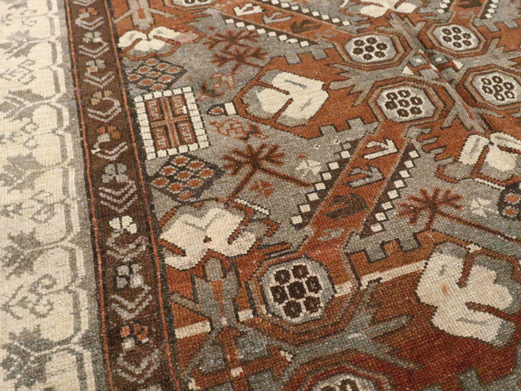 Antique Caucasian Zeikhour Carpet, No.15935 - Staging