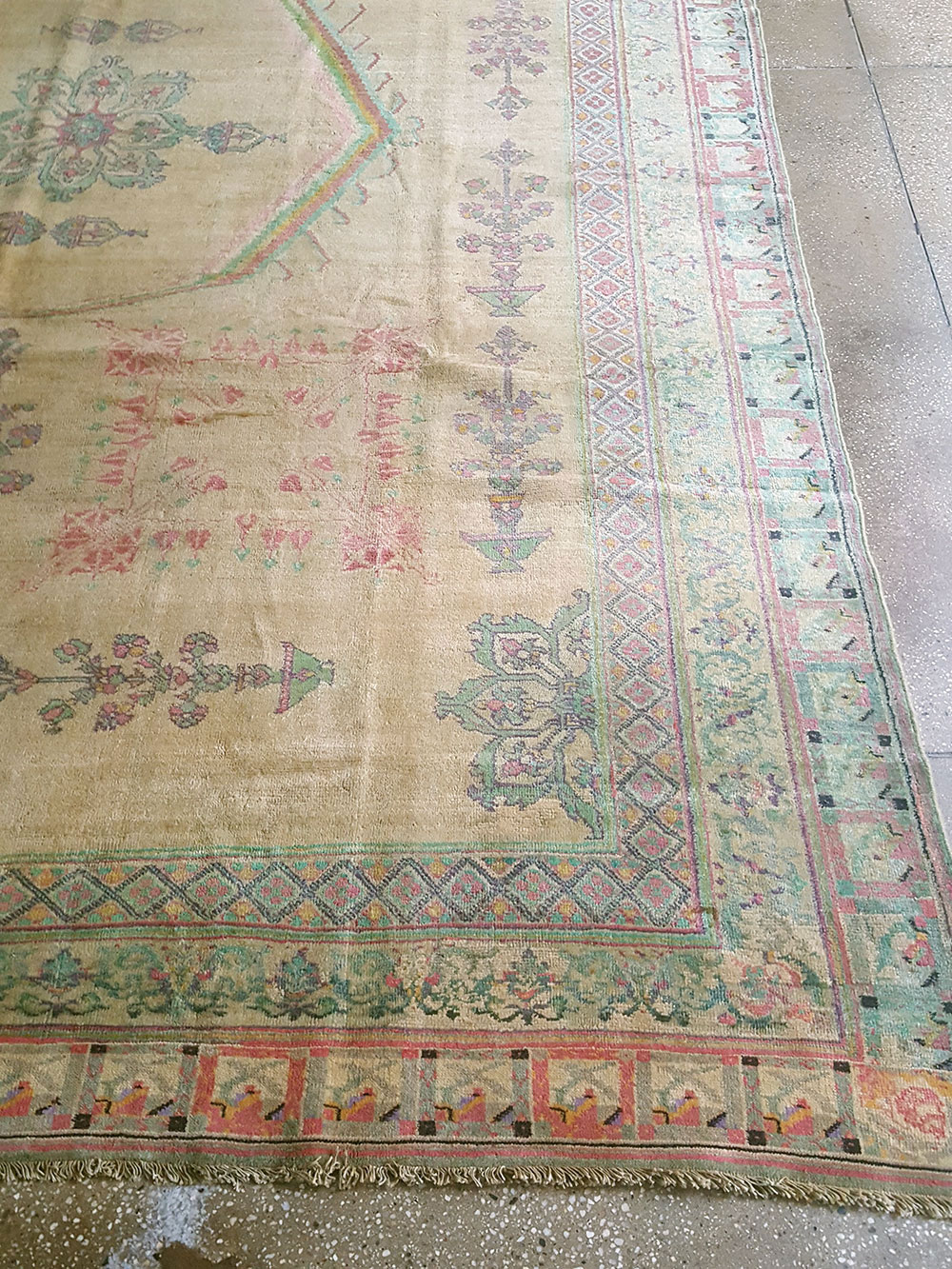 Antique Indian Agra Carpet, No.17052 - Staging