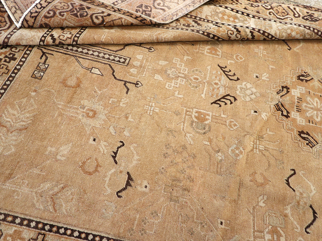 Antique East Turkestan Khotan Carpet, No.19052 - Staging