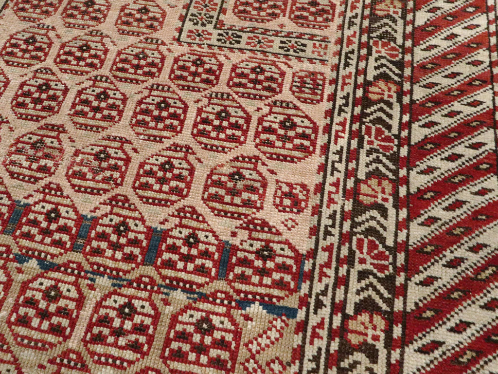 Antique Caucasian Shirvan Rug, No.20257 - Staging