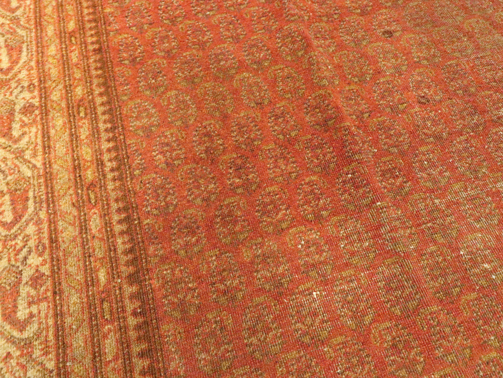 Antique Indian Lahore Carpet, No.23844 - Staging