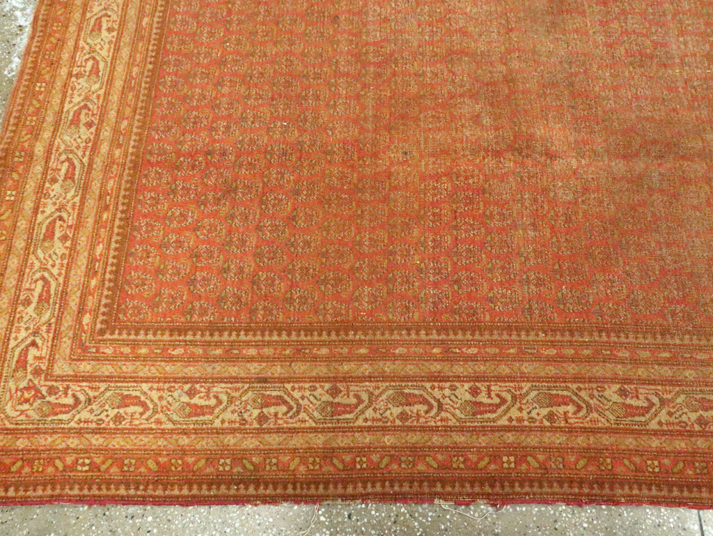 Antique Indian Lahore Carpet, No.23844 - Staging