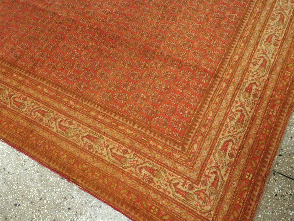 Antique Indian Lahore Carpet, No.23844 - Staging