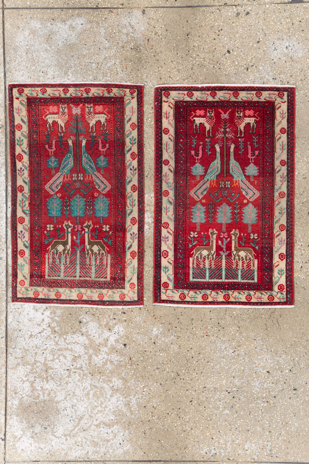 Vintage Central Asian Pictorial Turkoman Throw Rug (Pair: 1 of 2), No.27049 - Staging