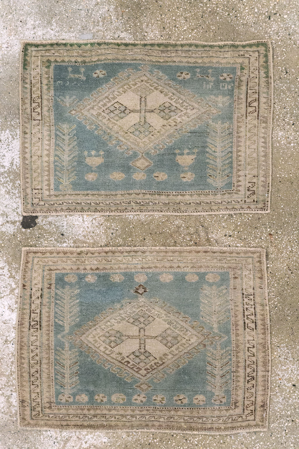 Antique Persian Tabriz Rug (Pair: 1 of 2), No.27215 - Staging