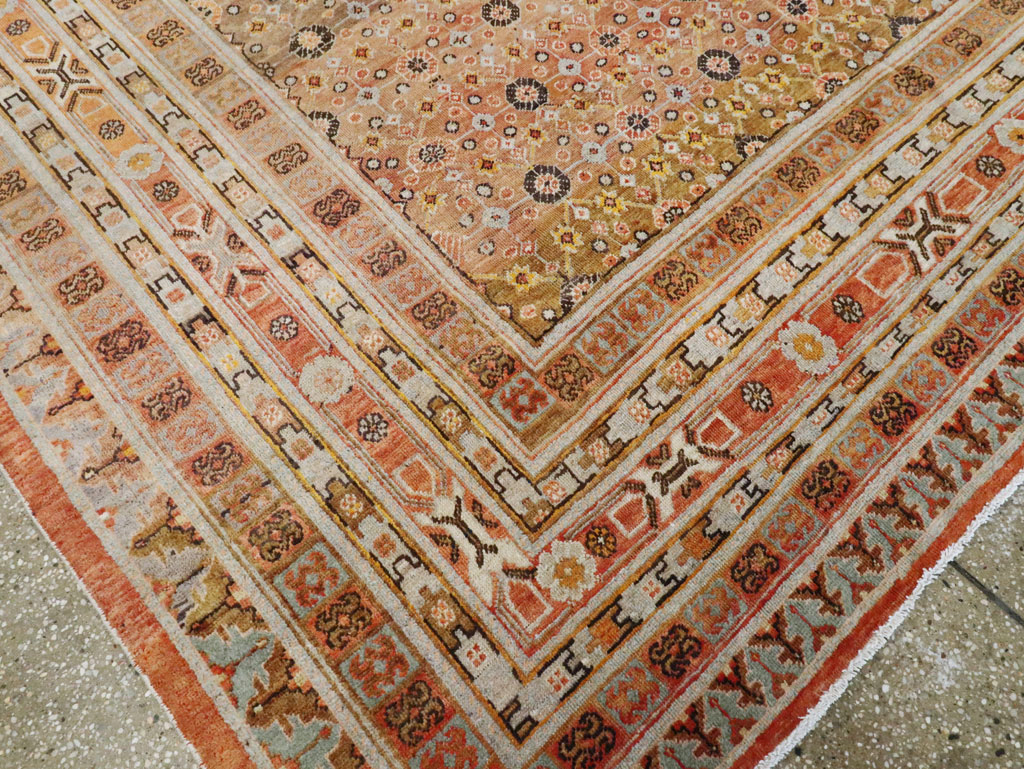 Antique East Turkestan Khotan Gallery Carpet, No.27573 - Staging
