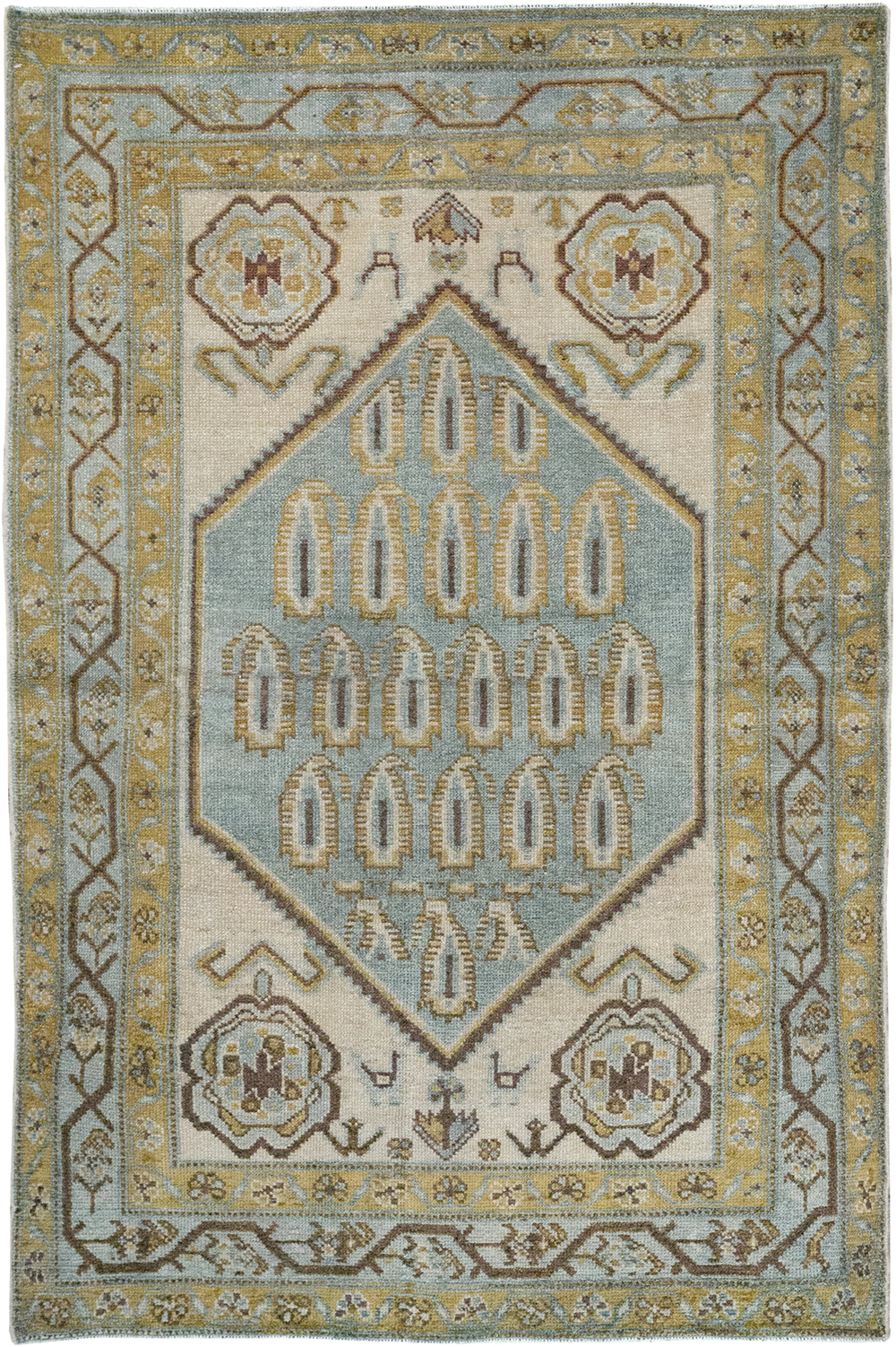 Vintage Persian Malayer Throw Rug, No.32840 - Staging