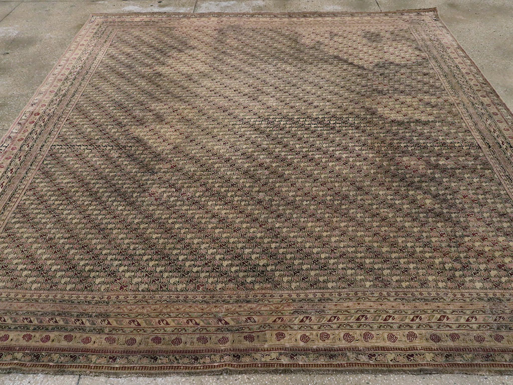 Antique Indian Agra Square Carpet, No.8541 - Staging