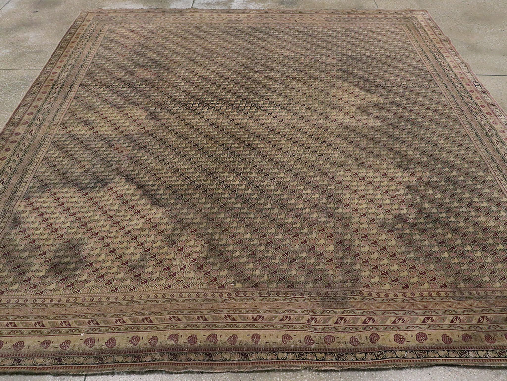 Antique Indian Agra Square Carpet, No.8541 - Staging